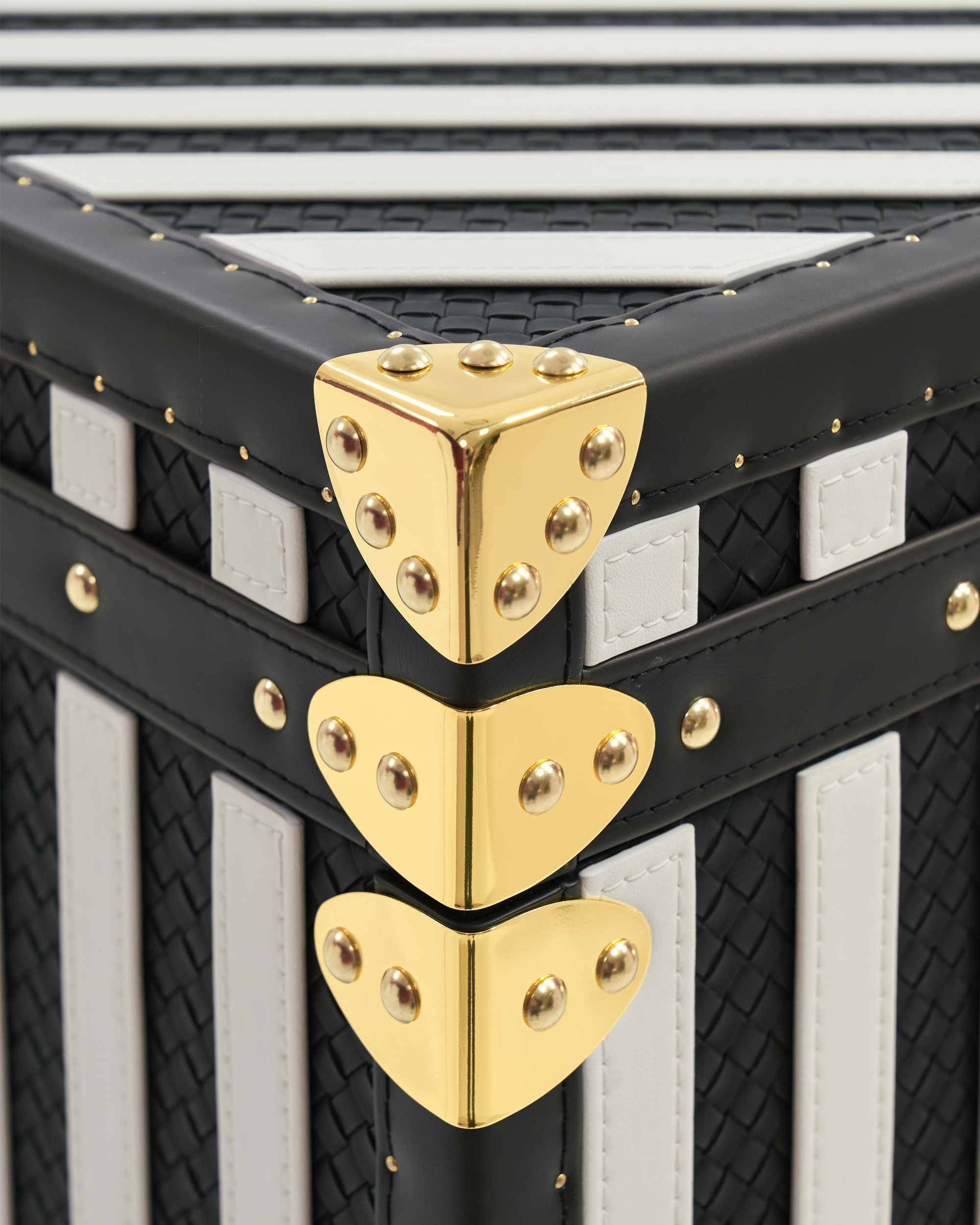Velvet-lined interior of the SIRAE Heritage Luxe monochrome majesty vanity cabinet, styled for luxury storage